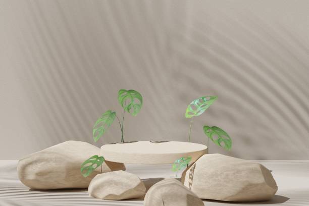 istock Abstract geometric composition with branch and shadow on the wall, Natural stone step pedestal. 3D render. Mock up for exhibitions. 1412342321