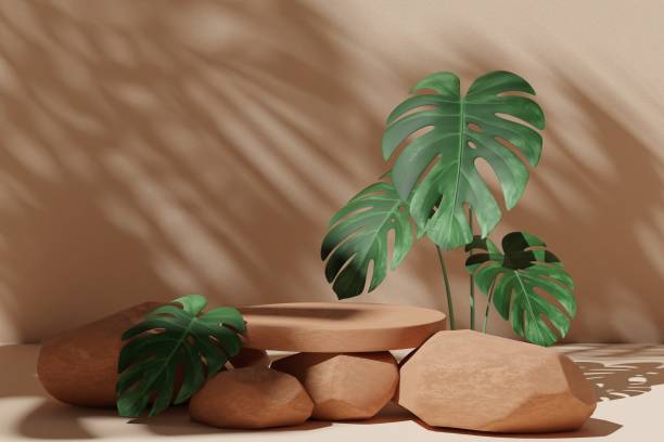 istock Abstract geometric composition with branch and shadow on the wall, Natural stone step pedestal. 3D render. Mock up for exhibitions. 1412342341
