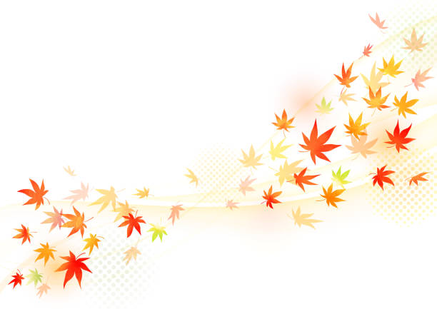 illustrations, cliparts, dessins animés et icônes de peint à la main, aquarelle, feuilles changeant de couleur design de cadre - japanese maple leaf autumn abstract