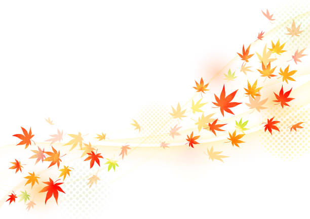 ручная роспись, акварель, листья меняют цвет дизайна рамки - tree area japanese fall foliage japanese maple autumn stock illustrations