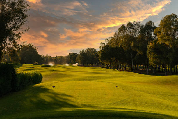istock Golden sunrise with beautiful cloudy sky over golf course 1412345754
