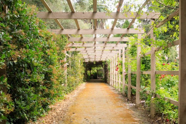 istock Garden Pergola Tunnel Walkway 1412347744
