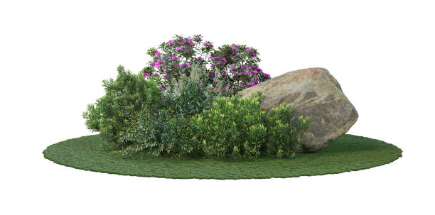 istock Stones and shrubs on a white background. 1412349265