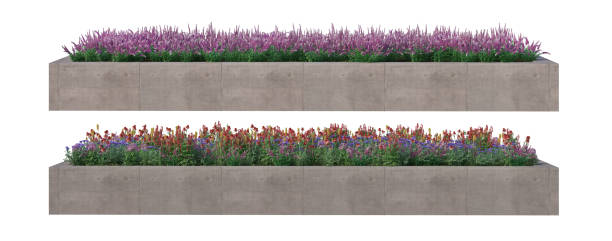 istock Flower garden on a white background 1412349286