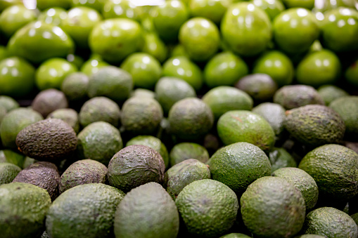 Close-up on the avocados on the shelf at the supermarket - groceries concepts