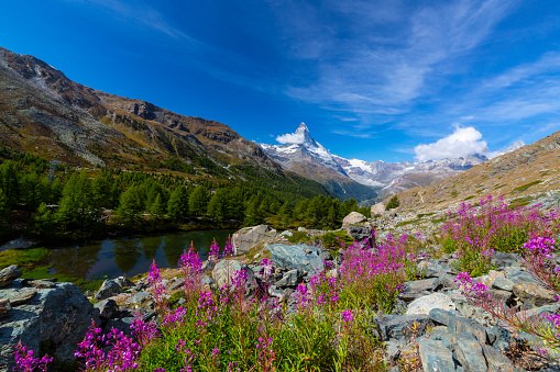 Beautiful scenery in the Swiss Alps in summer, with Matterhorn peak