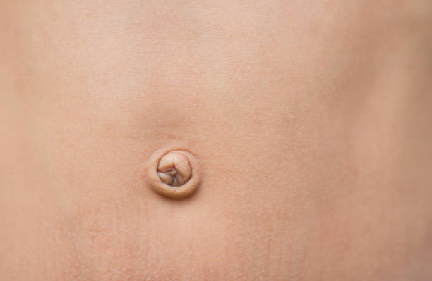 istock The navel of a man is not beautiful. 1412363717