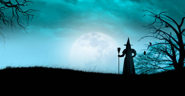 istock Halloween Witch in Front of Large Moon 1412366078