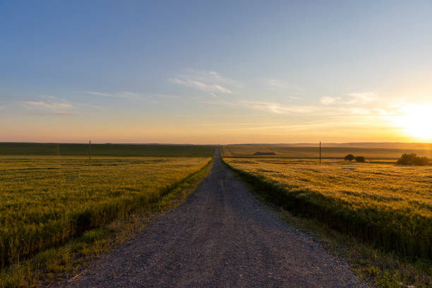 istock paved road for car traffic 1412368799
