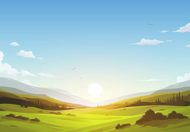 ilustraciones, imágenes clip art, dibujos animados e iconos de stock de paisaje de la hermosa mañana - meadow summer backgrounds panoramic