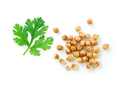 Group coriander seed isolated on white background , top view , flat lay.