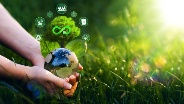 istock Hands holding crystal  globe with  tree. Circular economy concept. Renovating,sharing,reusing and recycling existing materials and products as much possible. 1412376169