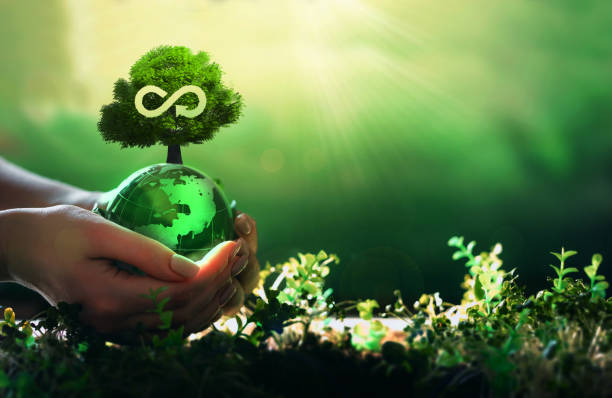 istock Hands holding crystal  globe with  tree. Circular economy concept. 
Renovating,sharing,reusing and recycling existing materials and products as much possible. 1412376172