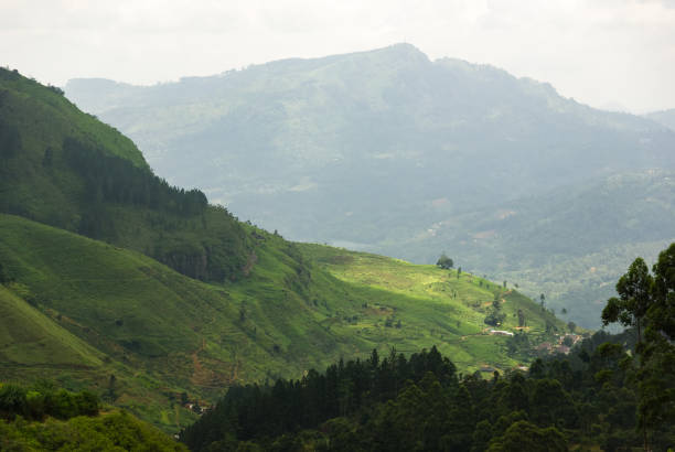 istock Tropical mountain landscape in rural Sri Lanka 1412377001