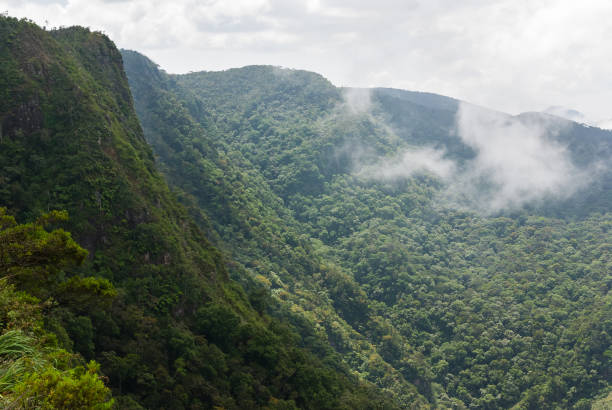 istock World's End, Horton Plains national park, Sri Lanka 1412377066