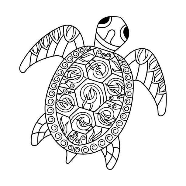 바다 거북이 색칠 공부 페이지 - terrapin stock illustrations