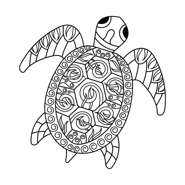 ilustrações, clipart, desenhos animados e ícones de página de colorir tartaruga marinha - terrapin
