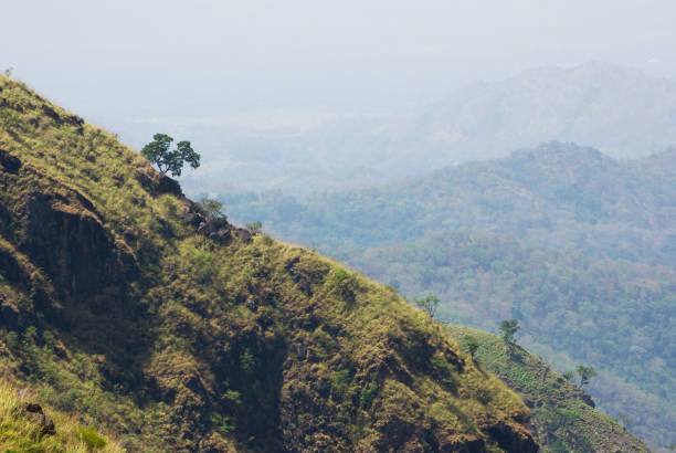 istock Tropical mountain landscape in rural Sri Lanka 1412378818