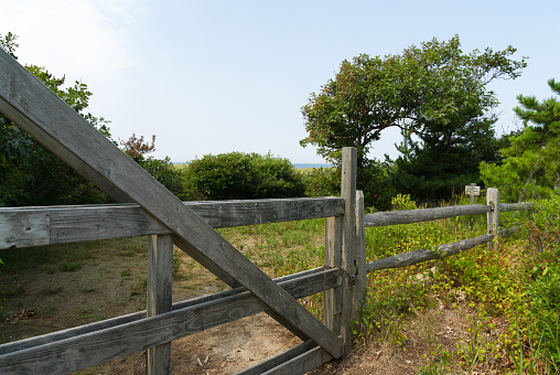 Abandoned garden behind locked wooden gate