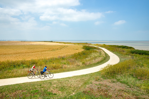 A senior couple of tourists on bicycles riding on winding coastal cycling trail near la Rochelle, Charente-Maritime, France