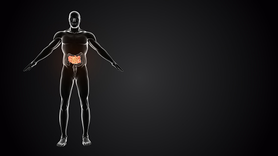 Concept of health care, stomach and intestinal problems