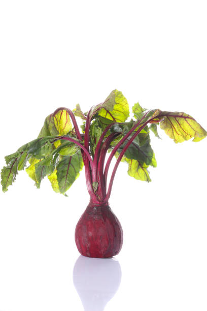 Beetroot