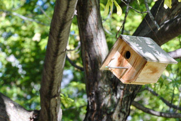 istock Birdhouse hanging on the tree. 1412383378