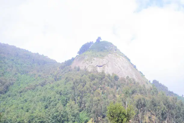 This Breast shaped rock is known as Ibere rya Bigogwe and it found in Western Rwanda