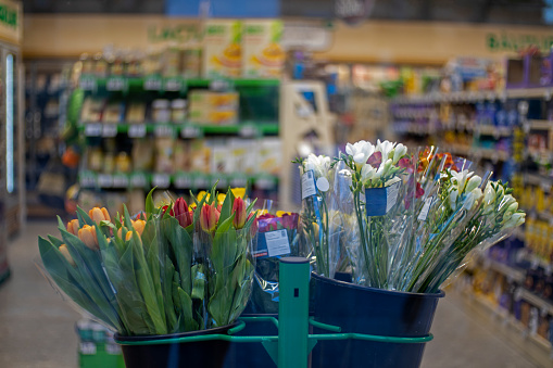 Various species of beautiful flowers in pots on the traditional street market in Bologna, Italy