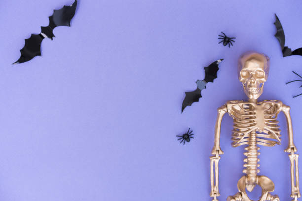 trendiger halloween-hintergrund mit goldenem skelett, fledermäusen und spinnen über lila hintergrund mit kopierraum - fledermaus grafiken stock-fotos und bilder