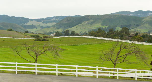 istock Country road with white picket fence 1412389235