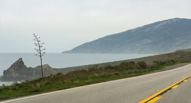 istock Cabrillo Highway scenery, California, USA 1412389390