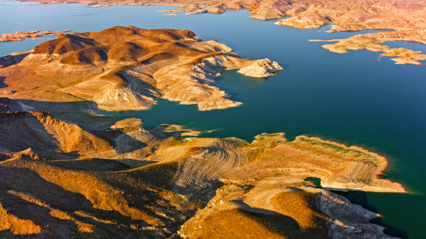 Roosevelt Lake and Saguaro Cactus on a sunny day in the Tonto National Forest.