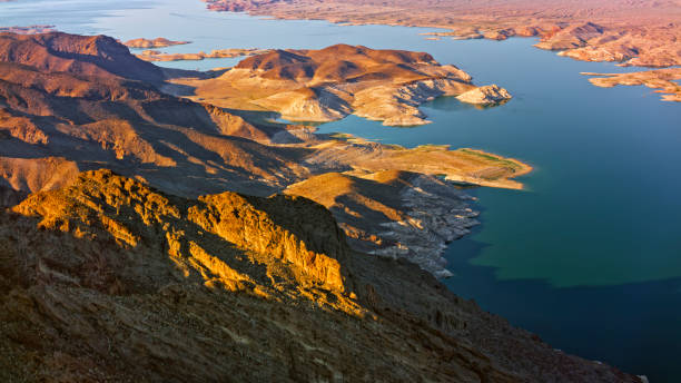 istock Bighorn island in Lake Mead 1412389645