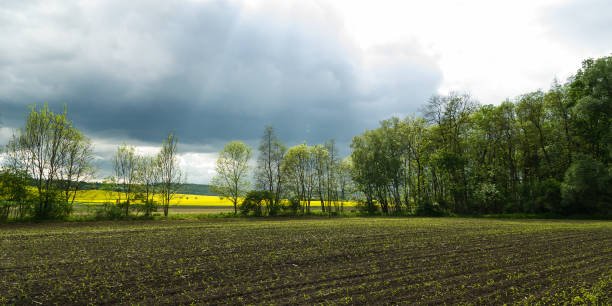 istock Spring stormy sky over a field, rural Czech Republic 1412391259