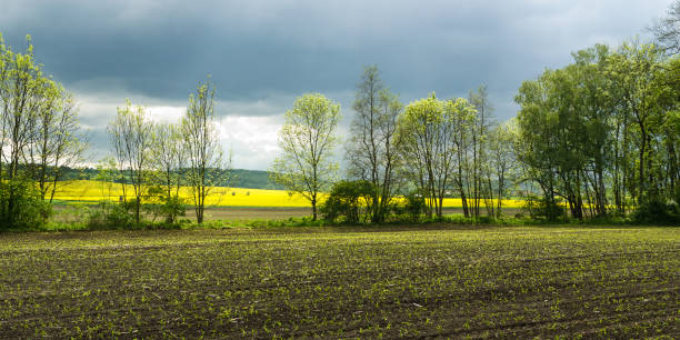 istock Spring stormy sky over a field, rural Czech Republic 1412391282