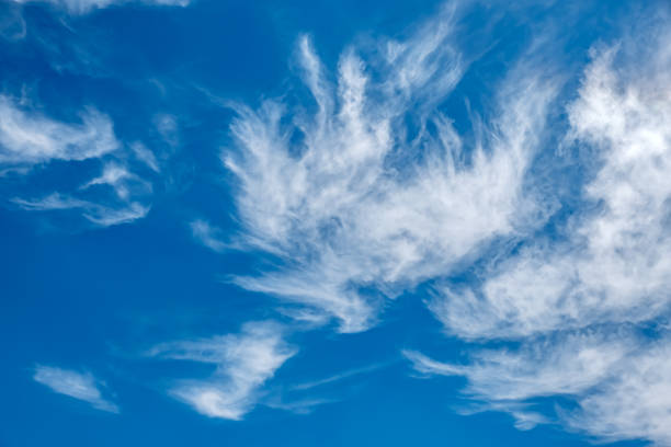 cirrus panorama di nuvole - vapor trail cirrus sky cloudscape foto e immagini stock