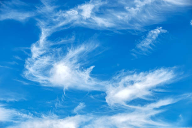 Cirrus Cloudscape Cirrus cloudscape and blue sky. cirrus storm cloud cumulus cloud stratus stock pictures, royalty-free photos & images