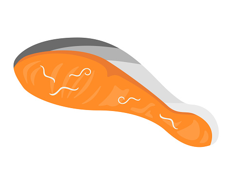 Illustration of Anisakis parasitic on salmon.