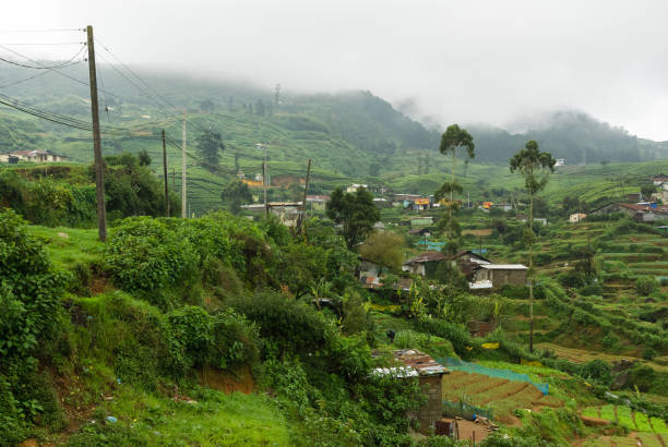 istock Sri Lankan hill country with tea plantations and vegetable fields 1412394443