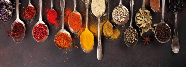 various spices spoons on stone table - coriander seed fotos imagens e fotografias de stock