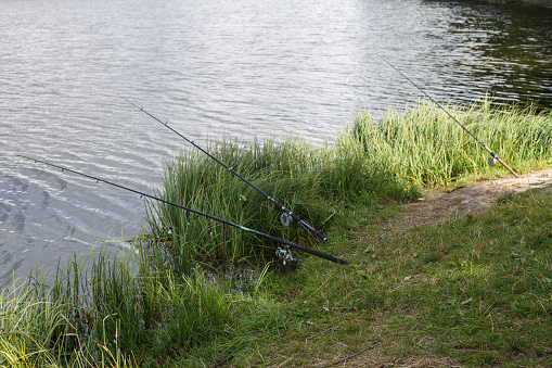 a fishing rods on the lake shore