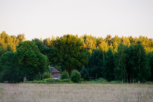 linked view in an outdoor park where a yellow sunset can be seen in the distance over the treetops where a house can be seen in the distance