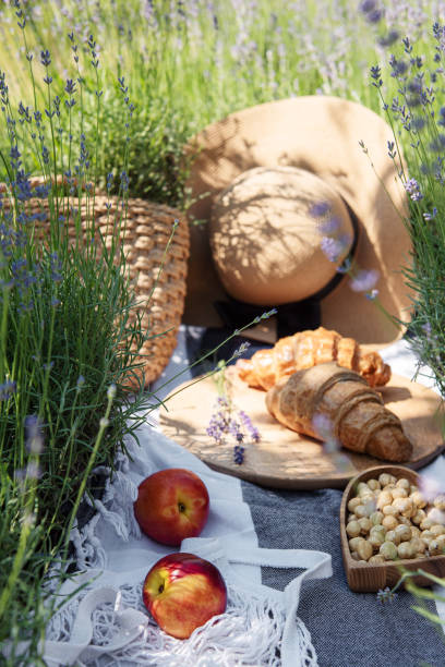 istock A summer picnic in a lavender field 1412400311
