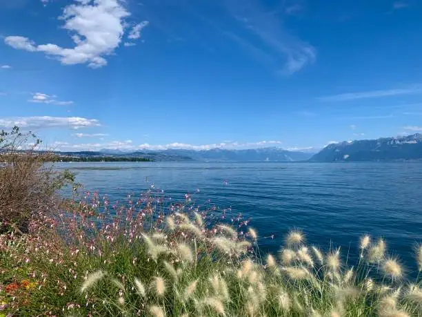 Lake Geneva skyline
