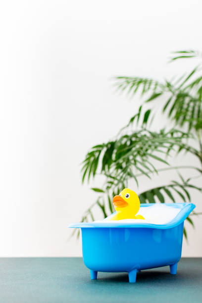 istock Duck sits in a doll bath with soap suds 1412403650