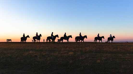 Race horses dawn silhoutted animals riders warm up training track with blue sky horizon colors a scenic  landscape.
