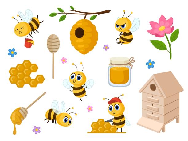 Cartoon bee and honey isolated sweet characters for child. Honeycomb, cute bees and jar of healthy sweets. Flying delivery, insects garish vector set Cartoon bee and honey isolated sweet characters for child. Honeycomb, cute bees and jar of healthy sweets. Flying delivery, insects garish vector set of bee and honey, yellow insect illustration bee clipart stock illustrations