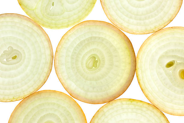 istock Slices of fresh Onion / background / back lit 141240829