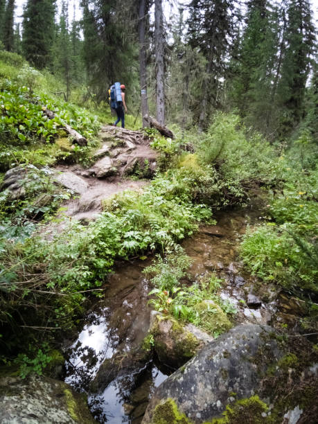 istock woman walking on a summer hiking trail 1412409939